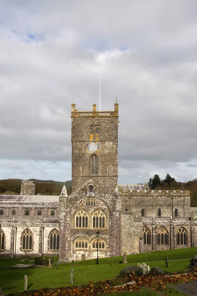 St David's cathedral — Stock Photo, Image
