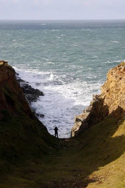 Cliffs and sea on the Pembrokeshire coastal path — Stock Photo, Image