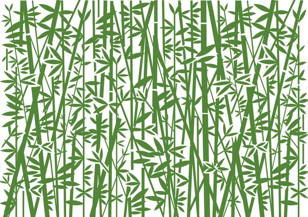 Bambus Ozdobne Zielone Tło Stylizowana Ilustracja Ozdobny Tło Zielony Bambus — Wektor stockowy