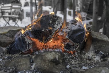 Şömine orman yakma