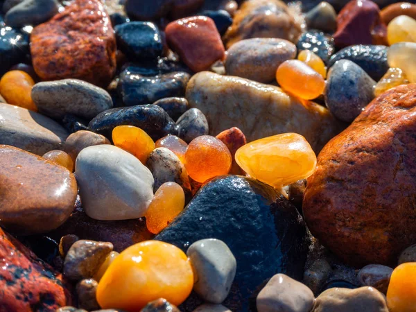 Small amber stone and pebbles on the sandy beach. Shallow wet amber washed by waves. Natural mineral at the Baltic sea coast.  Short focus.