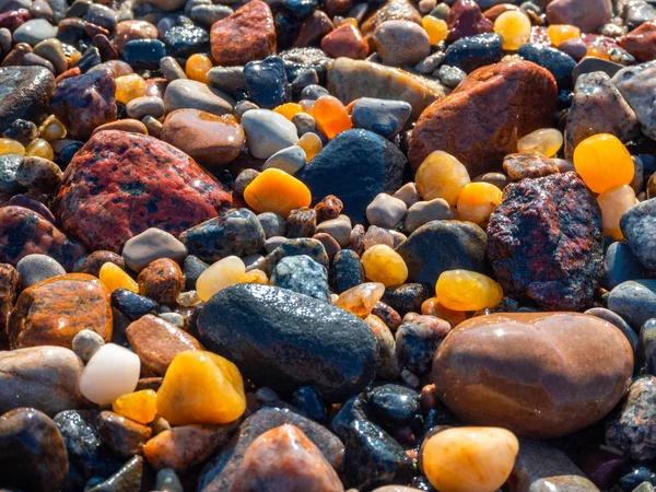 Small amber stone and pebbles on the sandy beach. Shallow wet amber washed by waves. Natural mineral at the Baltic sea coast.  Short focus.