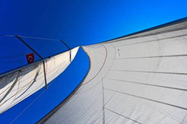 Mavi gökyüzü karşı bir yelkenli tekne yelken