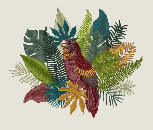 Botanická ilustrace. Tropické listy. — Stockový vektor