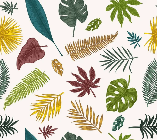 Ботаническая иллюстрация. Тропические листья . — стоковый вектор