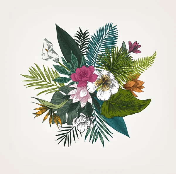 Illustration botanique. Feuilles tropicales . — Image vectorielle