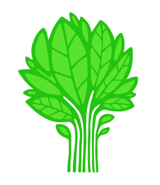 Planta / árbol verde — Vector de stock