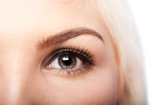 Beauty Eye and eyebrow — Stock Photo, Image