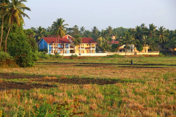 Capanne in campo verde dell'India — Foto Stock