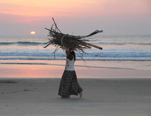 An unidentified girl carrying brushwood on the head of Goa, India. — Stock Photo, Image