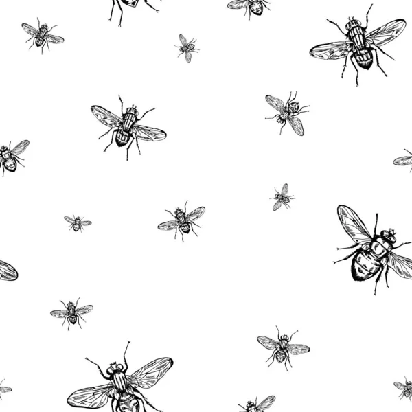 Fly fond sans couture — Image vectorielle