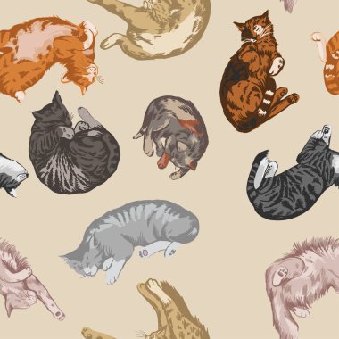 Uyuyan kediler renksiz