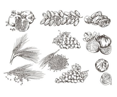Vector black&white set of Middle East food ingredients