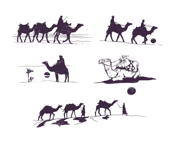 Vector Hand Getrokken Grafische Kamelen Silhuetten Set — Stockvector
