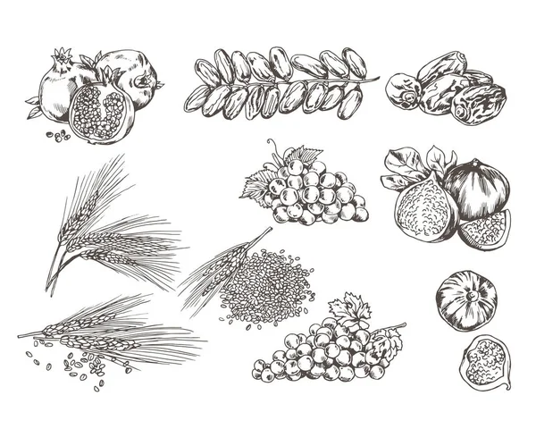 Vector Black White Set Middle East Food Ingredients — Wektor stockowy