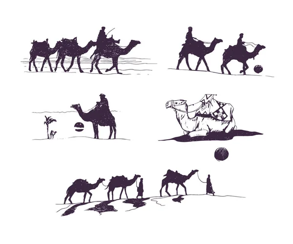 Conjunto Camelos Gráficos Desenhados Mão Vetorial Silhuettes Vetores De Stock Royalty-Free