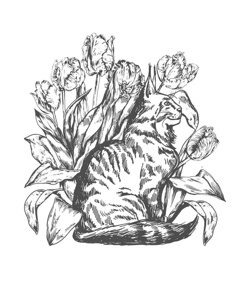 Katt Sittande Tulpaner Blommor Vektor Illustration — Stock vektor