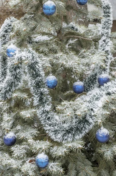 お正月とクリスマスの装飾 — ストック写真