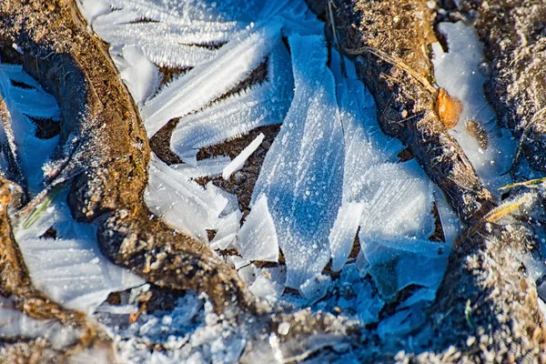 Kałuża lodu na drodze — Zdjęcie stockowe
