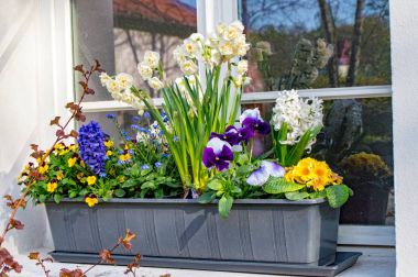 Flower box with various flowers clipart