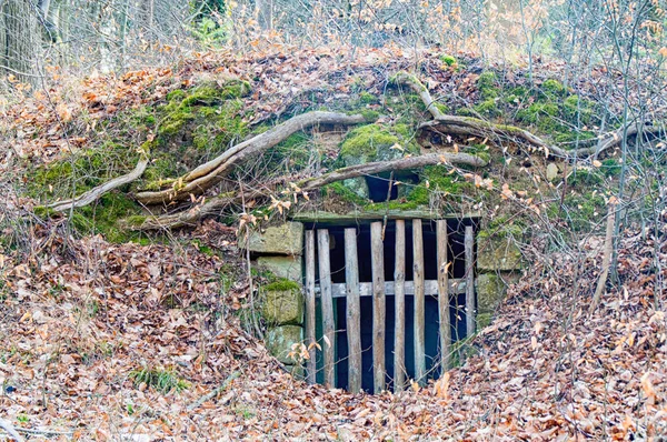 Malé bunkru uprostřed lesa — Stock fotografie