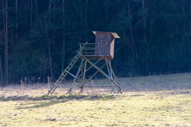 Ormandaki Ormancılar koltuk