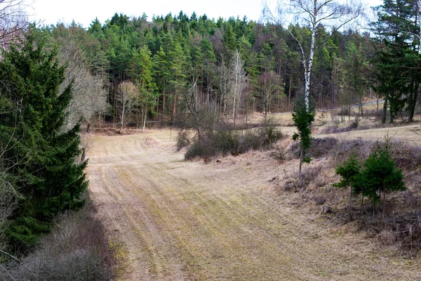 Ormandaki sürülmüş alan