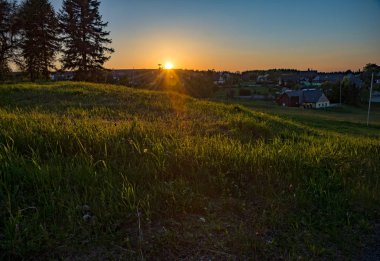 Alacakaranlık arka plan ile çayır