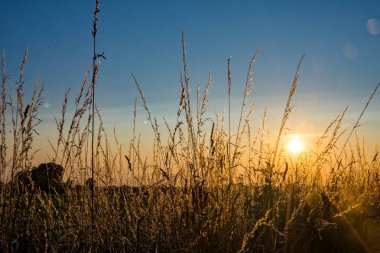 Gün batımından bir Köyü'nde bir alanın üzerinde