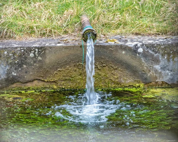 Fresh water flows from the middle of the raw — Stock Photo, Image