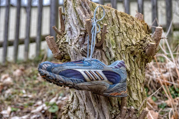 挂在树桩上的老运动鞋 — 图库照片