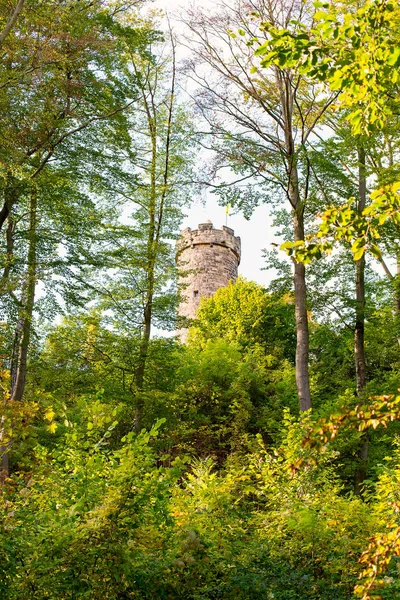 Castello Greifenstein nel bosco — Foto Stock