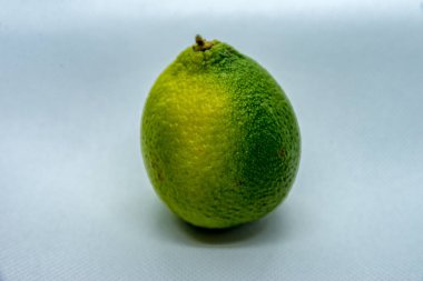 Limon kabuğu beyaz arka plan üzerinde ile