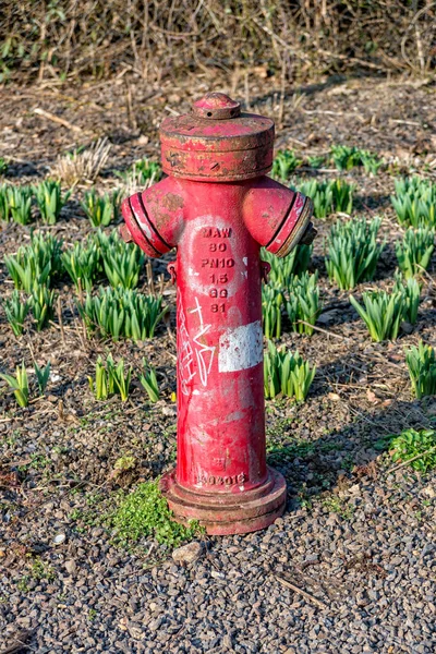 Červená voda hydrantu v parku v Jeně — Stock fotografie