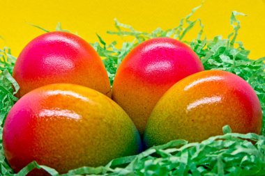 Yeşil Paskalya yuvasında renkli Paskalya yumurtası