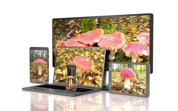 컴퓨터 가제트의 화면에 독 버섯의 일종의 집합 (3d illustrati — 스톡 사진