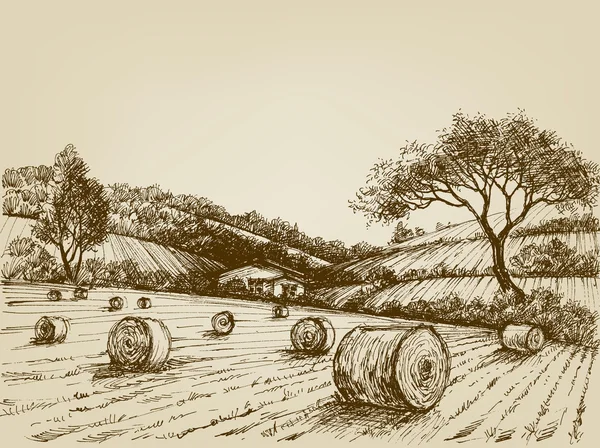 Paisaje de la cosecha, campo agrícola y fardos de heno — Vector de stock