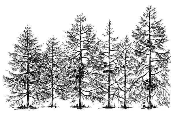 Pine forest hand drawn border — Stock vektor