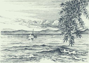 Aşındırma, bir zeytin ağacı kıyısında sakin Deniz Manzaralı