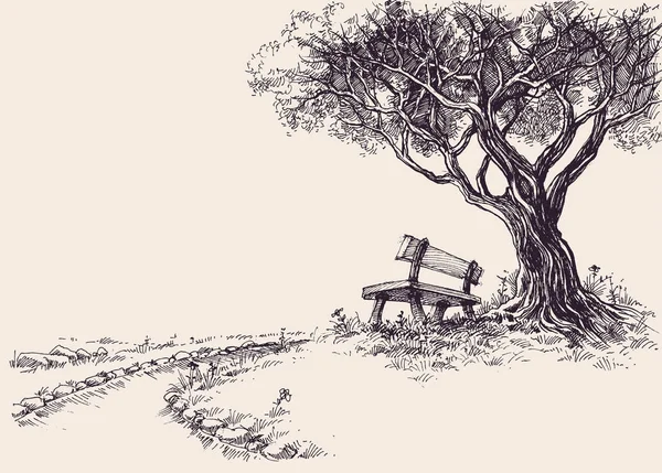 Esbozo del parque. Un banco de madera bajo el árbol — Vector de stock