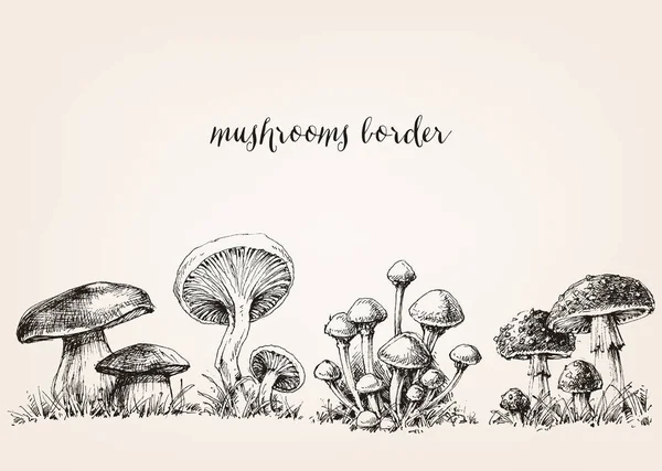 Bordure de champignons mignon, collection dessinée à la main — Image vectorielle