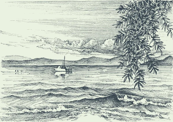 Aşındırma, bir zeytin ağacı kıyısında sakin Deniz Manzaralı