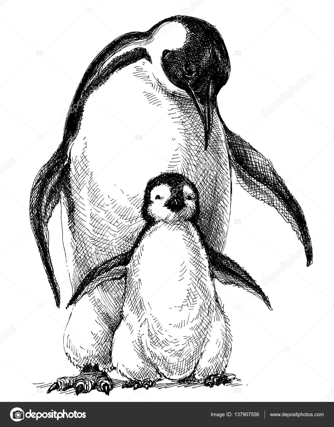 Penguins family drawing Stock Vector Image by ©Danussa #137907556