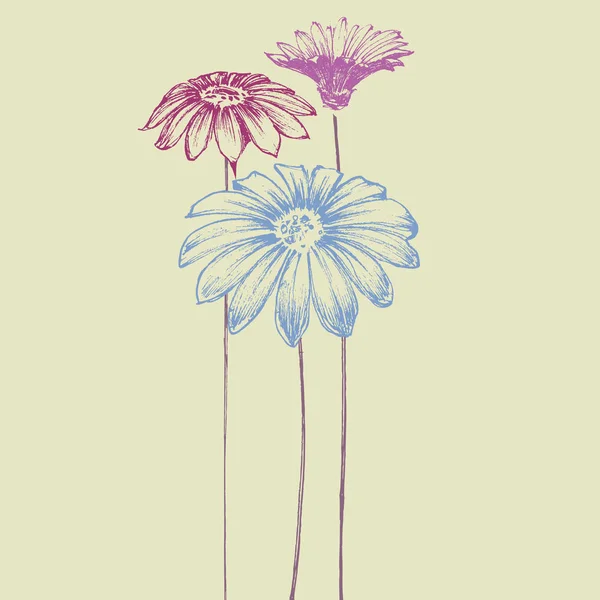 手描き花 — ストックベクタ
