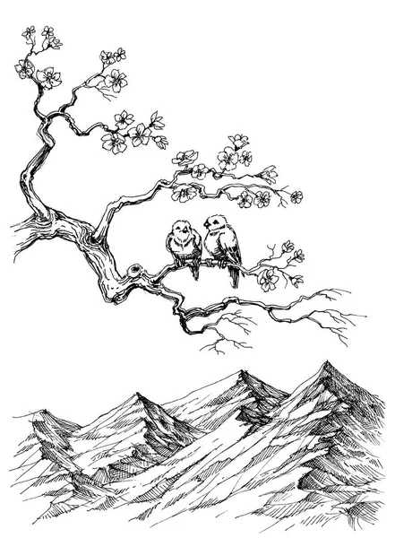 Oiseaux de printemps sur branche d'arbre — Image vectorielle
