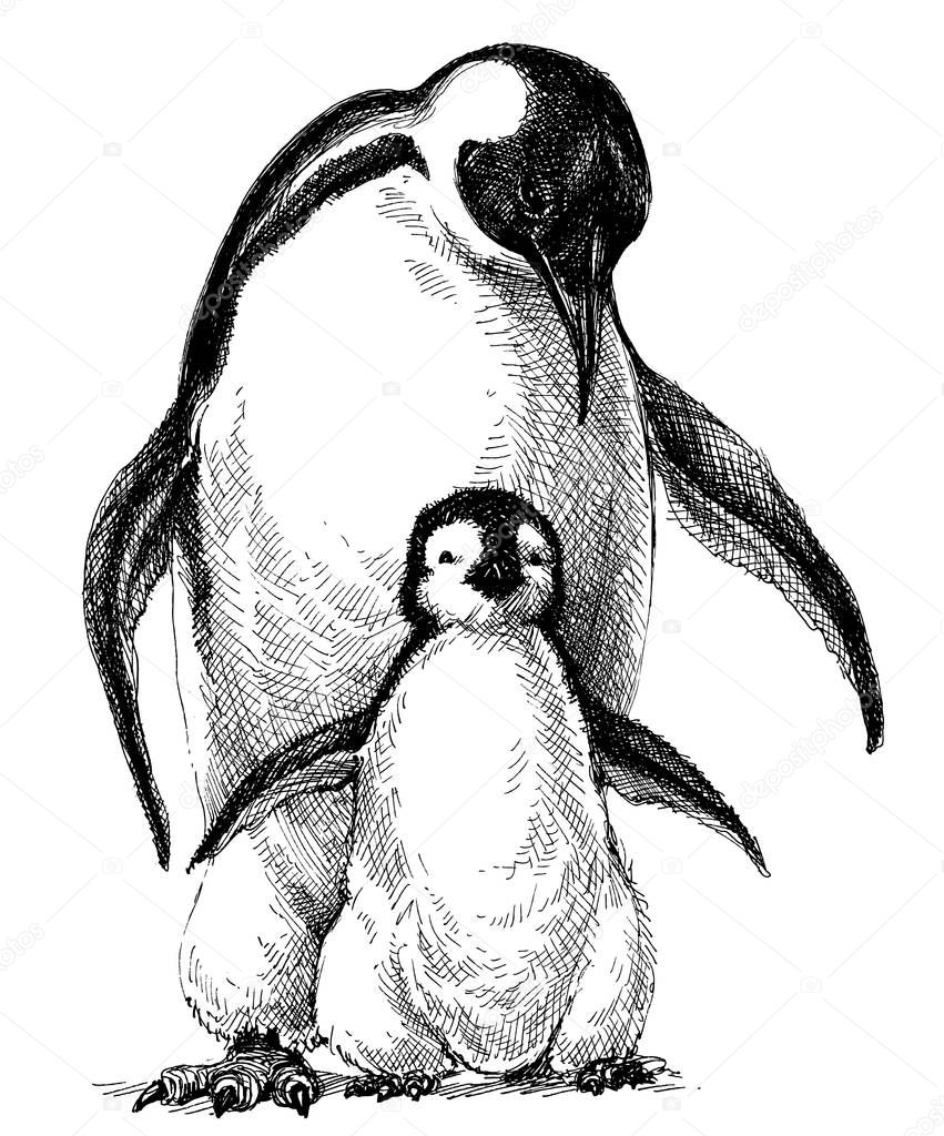 Penguins family drawing