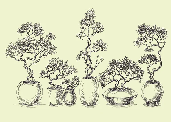 Un ensemble de bonsaïs isolés — Image vectorielle