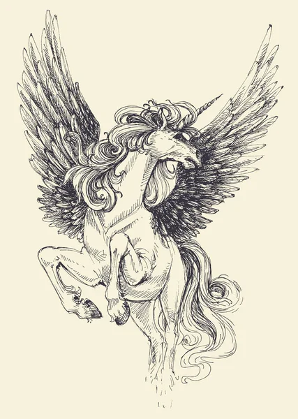 Dibujo vectorial unicornio — Archivo Imágenes Vectoriales