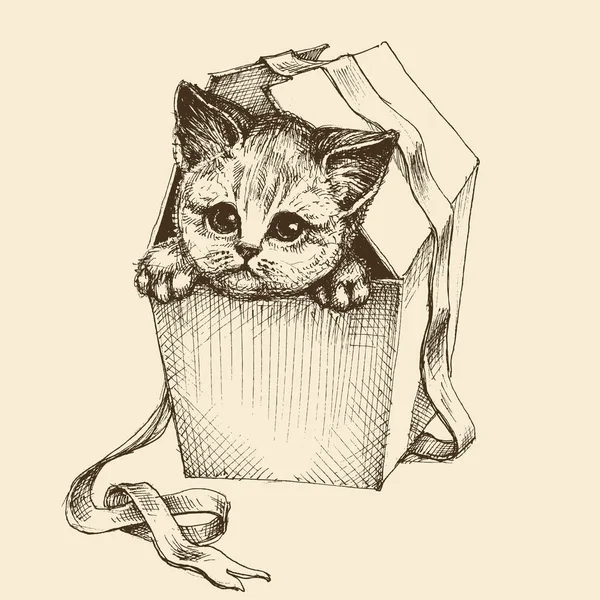 Obdarování pet ilustrace, roztomilý Zvědavá kočka Vršovic — Stockový vektor