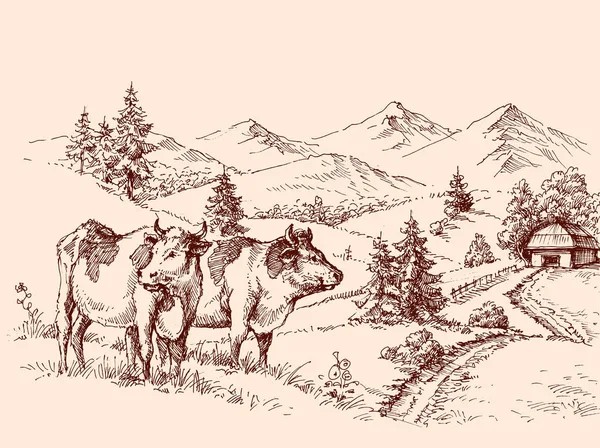 Kor gård teckning, mejeri etikettdesign betande nötkreatur — Stock vektor